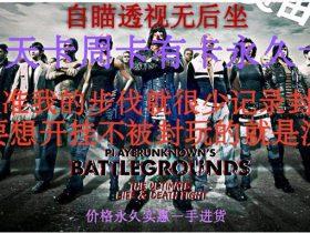 外挂,一个因“快感”而崛起的暴利行业