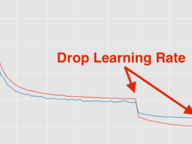 PyTorch 中设定学习率衰减(learning rate decay)