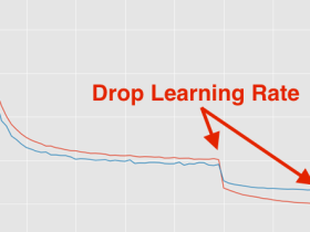 PyTorch 中设定学习率衰减（learning rate decay）