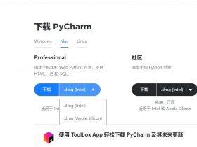 JetBrains 开发工具正式适配苹果 M1 Mac：PyCharm 2020.3.2 等